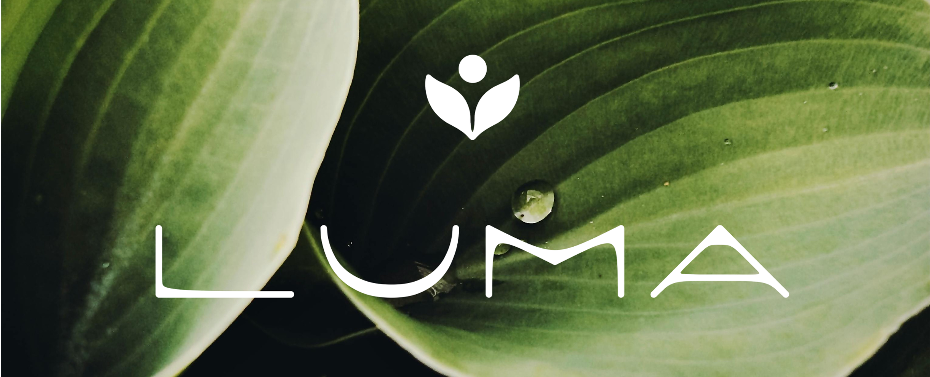 Luma Skin project visual