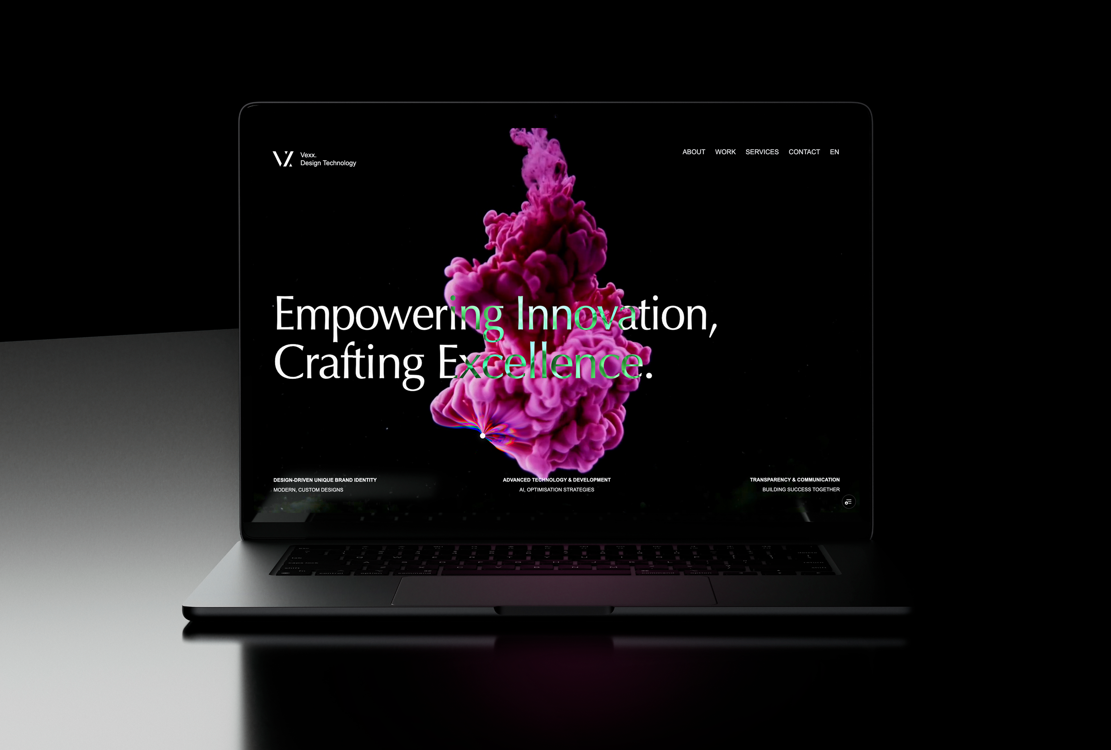 VEXX project visual